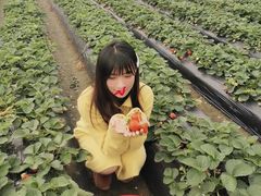 -丹樱生态园