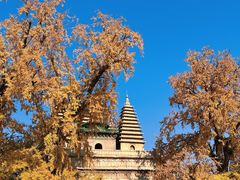 -北京石刻艺术博物馆(五塔寺)