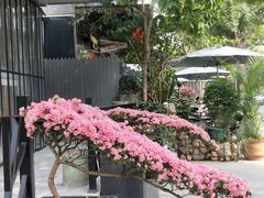 -老别墅西餐厅.酒馆(西堤店)
