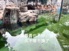 -灵玲国际马戏城