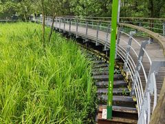 -西湖风景区-江洋畈生态公园