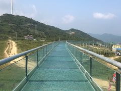 -齐岳山