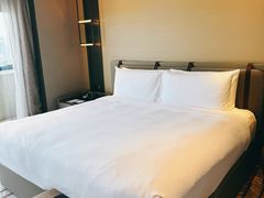 -新加坡瑞士史丹福酒店