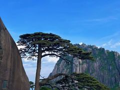-黄山风景区