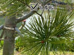 -虎丘湿地公园