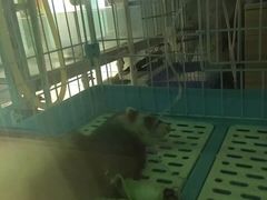 -雨林宠物医院 非犬猫异宠专科