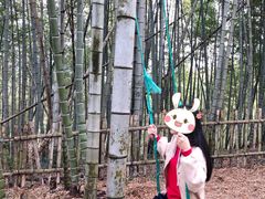 -宁波浙东大竹海景区