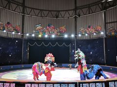 -深圳野生动物园