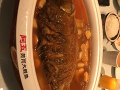 -阿五黄河大鲤鱼(英协路店)