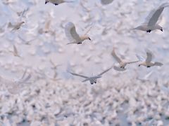 -上海宝龙美术馆