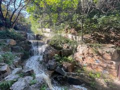 -北京西山国家森林公园