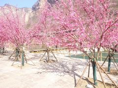 -河南宝泉旅游区