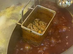 -罗大姐重庆市井老火锅(海丰店)