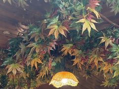 -萬家灯火·私房湘菜·22年老手艺(南岭大道店)