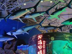 -烟台海昌鲸鲨海洋公园