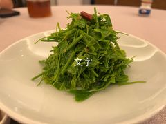 辣木籽-玖味(老工人西路店)