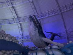 -烟台海昌鲸鲨海洋公园