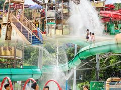 -重庆海昌加勒比海水世界