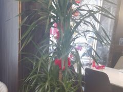 -玉林烤鸭店(垡头店)