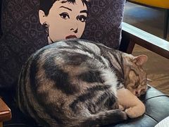 -咖法森林·咖啡  酒吧(天河店)