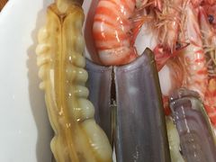 大红蛏-凯华海鲜火锅·传承三十六年