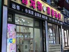 -青奢宠物·青奢猫舍