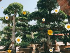 景点-大连海昌发现王国主题公园