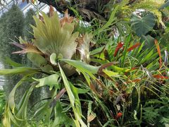 -国家植物园南园