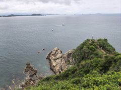 -杨梅坑