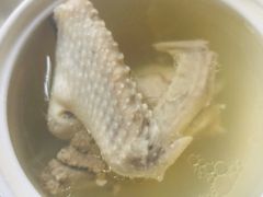 -食家鸽园