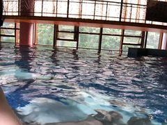 -天明山温泉大酒店