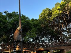 -上海野生动物园