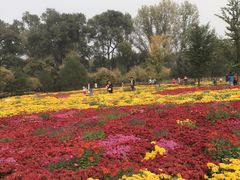 -承德避暑山庄景区