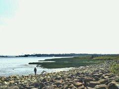 -吴淞炮台湾湿地森林公园烧烤区