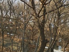 -妙峰山风景名胜区