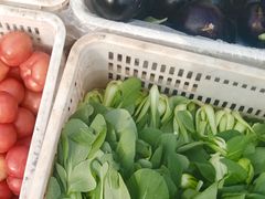 -顺鑫石门市场