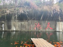 -千岛湖东南湖区