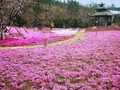-棒棰岛宾馆景区
