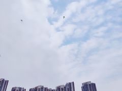 -汉江湾体育公园