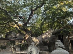 -青岛崂山太清宫