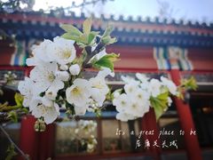 -居庸关长城