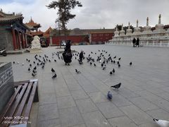 -大召寺明清一条街