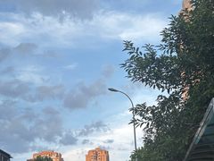 -枫香湖儿童公园