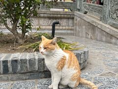 -高旻寺