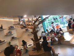 大堂-飞行喵MR PILOT|猫舍·猫咖(静安大融城店)