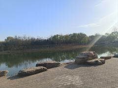 -大兴滨河森林公园