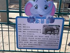 -保定市动物园