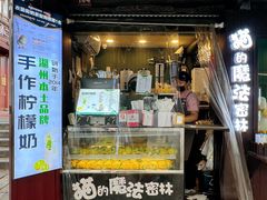 -猫的魔法密林(衣裳街店)