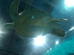 -福州罗源湾海洋世界旅游区