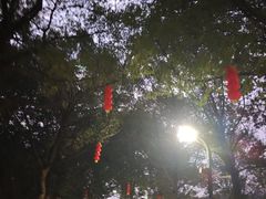 -海珠湖公园
